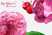 Rouge Blosssom, an Illustration by Cacacolors Clipart (Thumbnail 2 of 3)