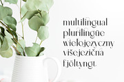 Tilaa Serif -Ligature Typeface, a Serif Font by Ryul Davidson (Thumbnail 13 of 13)