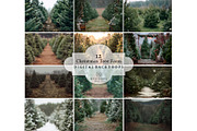 Christmas Tree Farm Digital Backdrop, a Layer Style Add-On by Wild Honey Design Co. (Thumbnail 1 of 4)