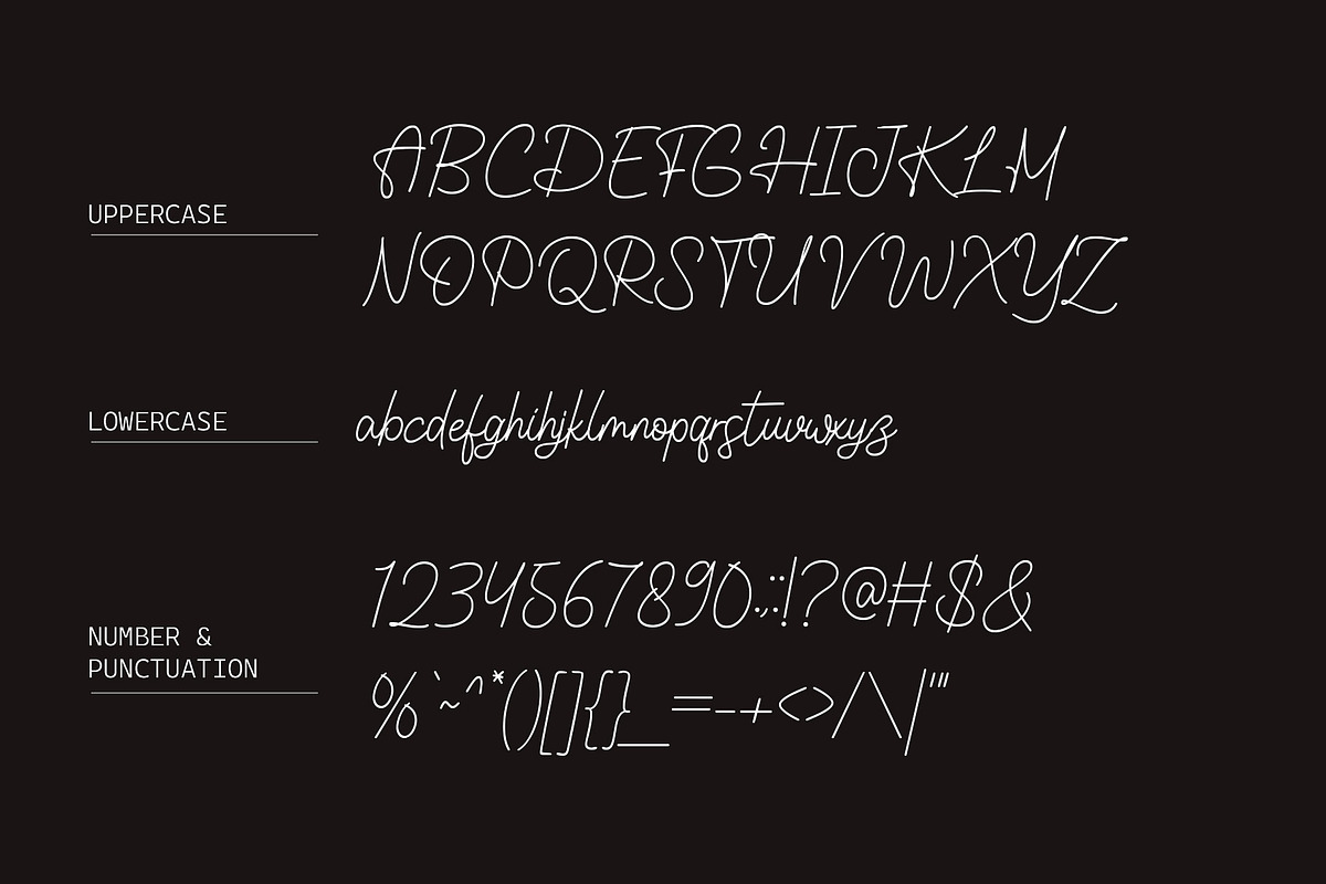 Melfianita - Monoline Script Font, a Script Font by Aksapix Studio (Photo 6 of 10)