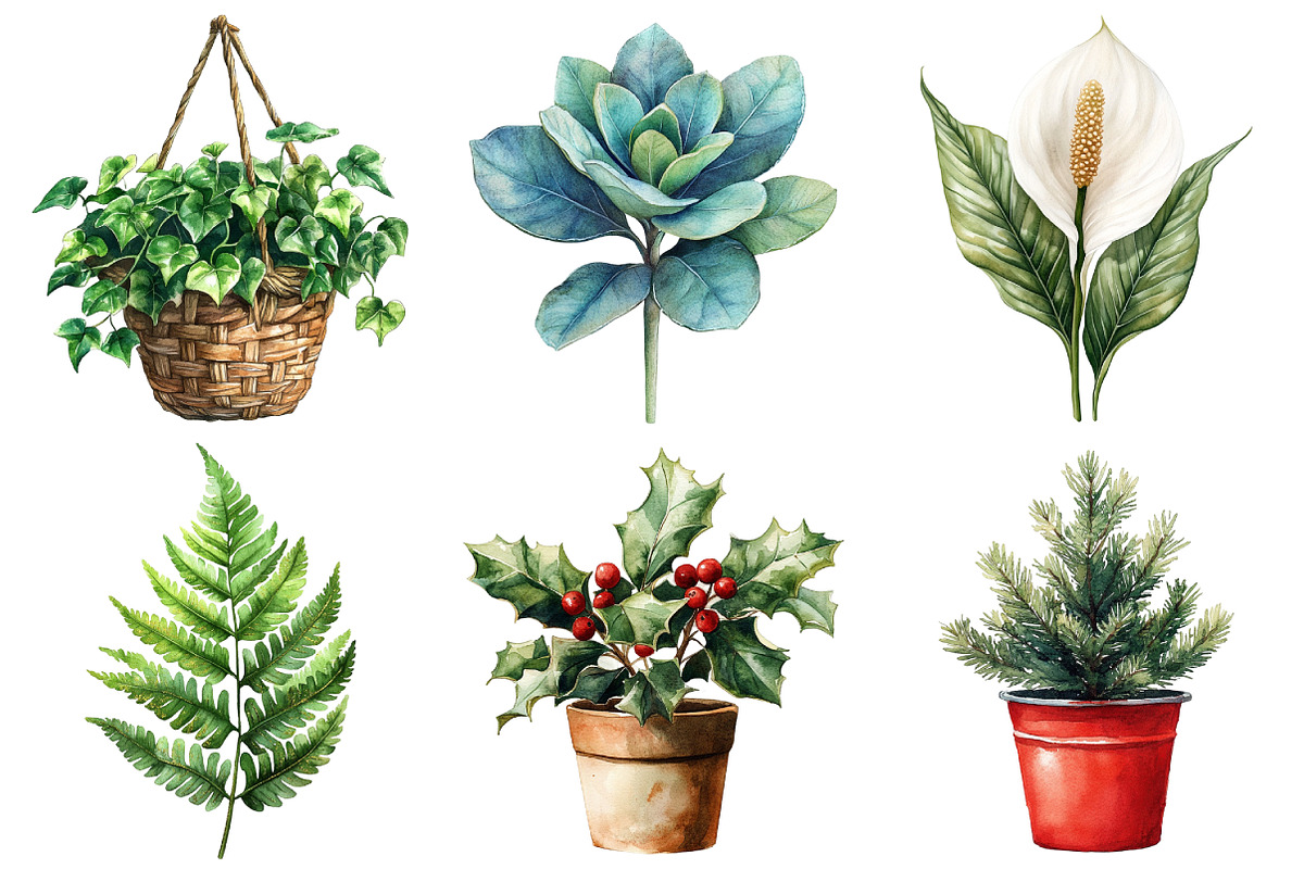 Christmas Houseplants Clipart Bundle, an Illustration by Daily.Designs (Photo 4 of 5)