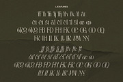 LT Rogile - Modern Serif Typeface, a Serif Font by Luminotype (Thumbnail 17 of 20)