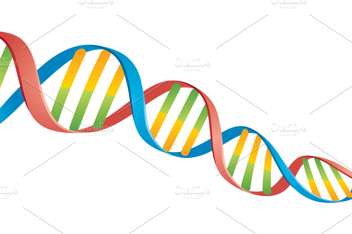 Double Helix DNA Strand, a Healthcare Illustration by Schwegel Illustration