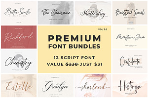 Premium Font Bundles Sale Vol 3.0