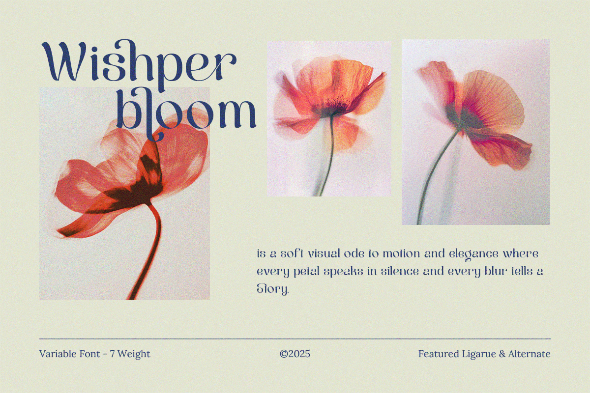 Berkara - Stylish Serif Display, a Serif Font by Pandeka Studio (Photo 3 of 9)