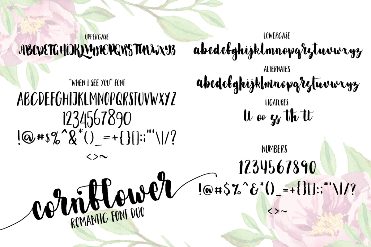 Cornflower DUO preview 7