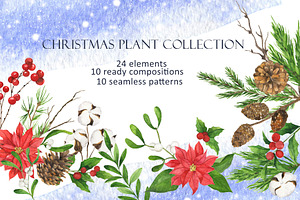 Christmas Plant Collection