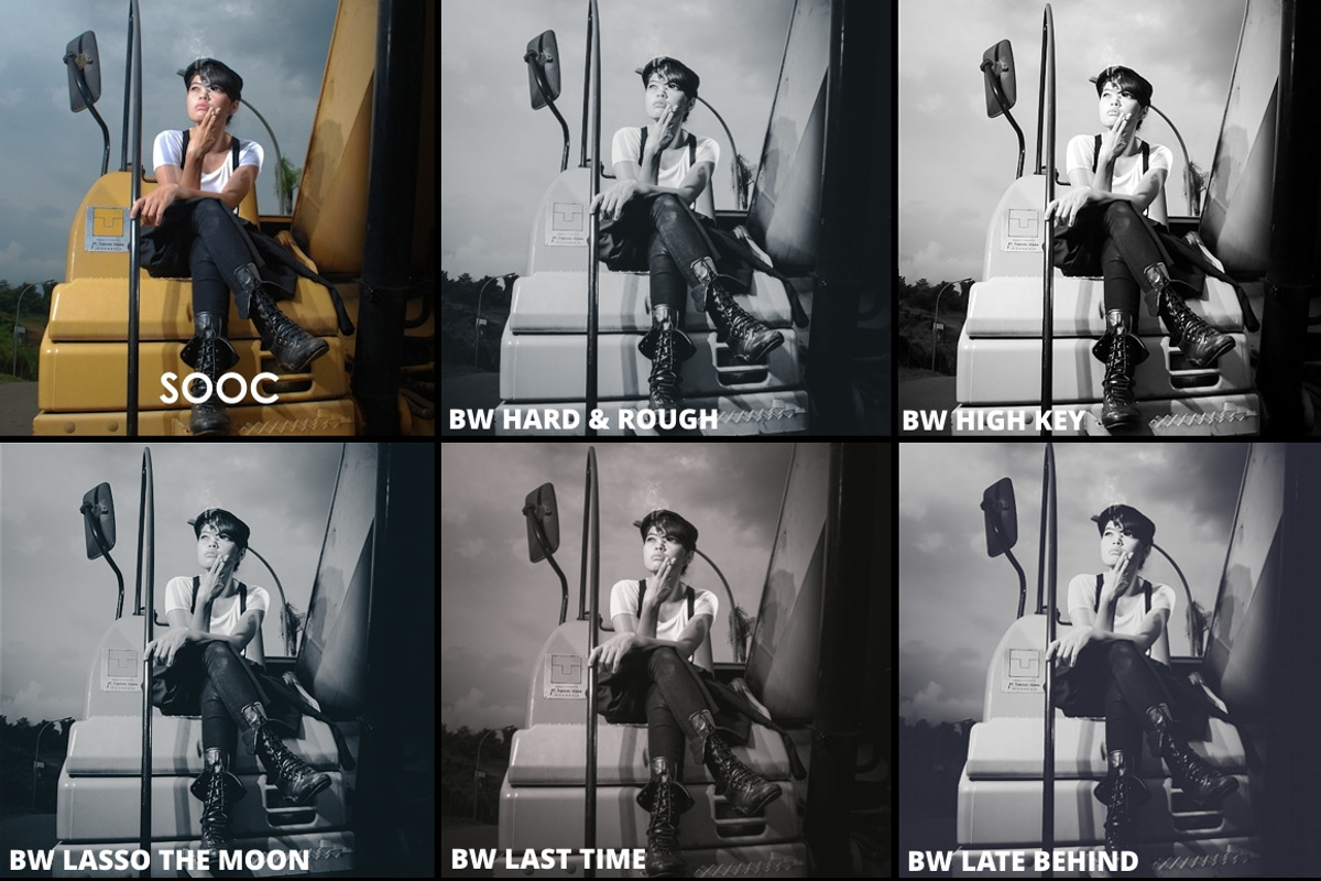 The Black White 30 Lr Collection preview 6