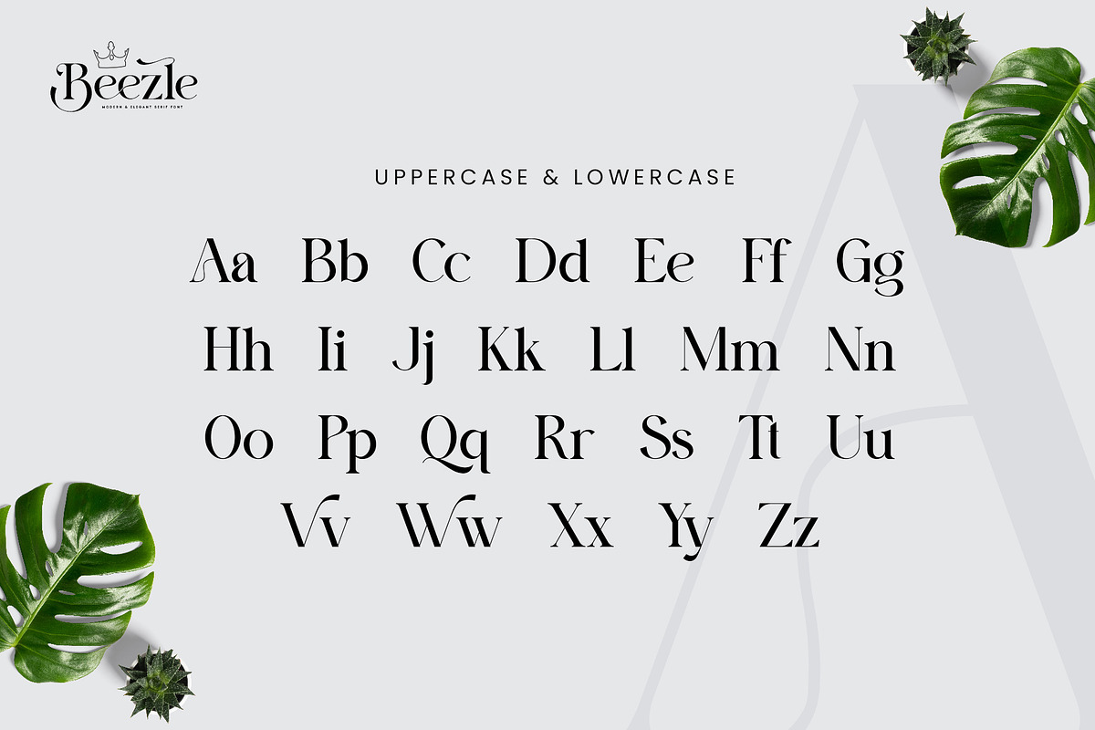 Beezle Modern Serif Font, a Serif Font by Idea Studio (Photo 6 of 10)