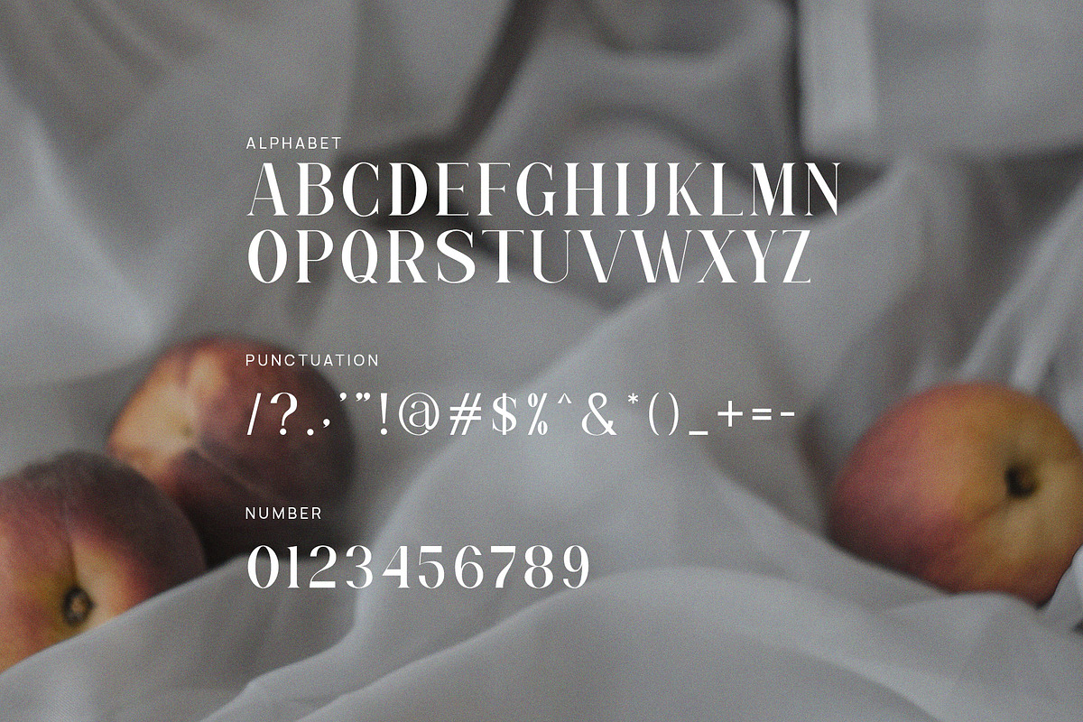 Magina Modern Serif Font By Graphicxell preview 8