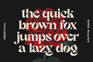 Nambya - Sharp Serif Typeface