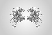 15 Wing Illustrations (Vector), an Animal Illustration by BIOWORKZ (Thumbnail 3 of 5)