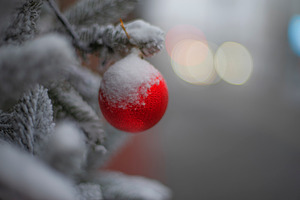 A New Year's tree on a city street on Christmas Eve, a Photo by Pictures for you!!!!!!!!!