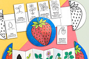 Foldable Life Cycle Bundle, a Stationery Template by AIW SOLUTIONS (Thumbnail 3 of 11)