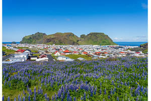 View of the town of, a Nature Photo by Backyard Stock