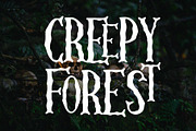 Skellington Hollow - Creepy Font, a Serif Font by Dm Studio (Thumbnail 3 of 7)