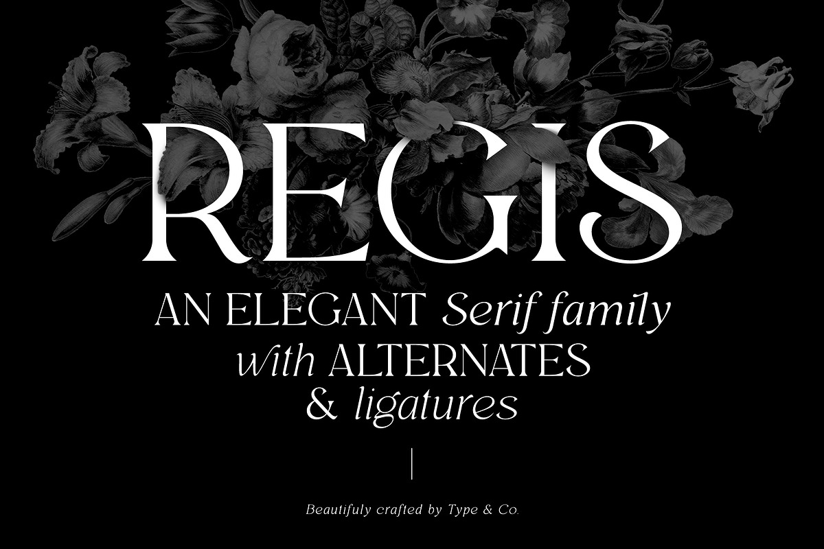 Regis | Elegant Serif Font Family, a Serif Font by Type and Co. (Photo 1 of 20)