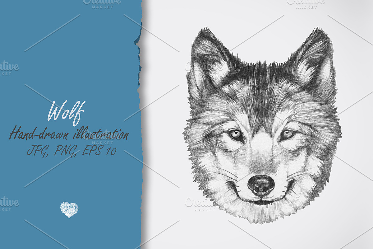 Wolf // Glasses // Summer, an Animal Illustration by Victoria_Novak (Photo 2 of 3)