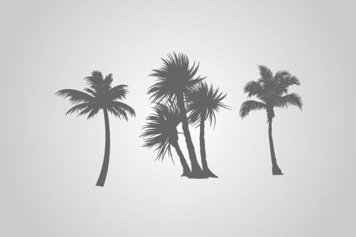 25 Tropical Designs (Vector) preview 5
