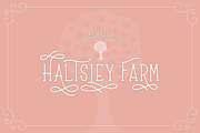 Farmhouse Font, a Serif Font by Salt & Pepper Designs (Thumbnail 4 of 8)