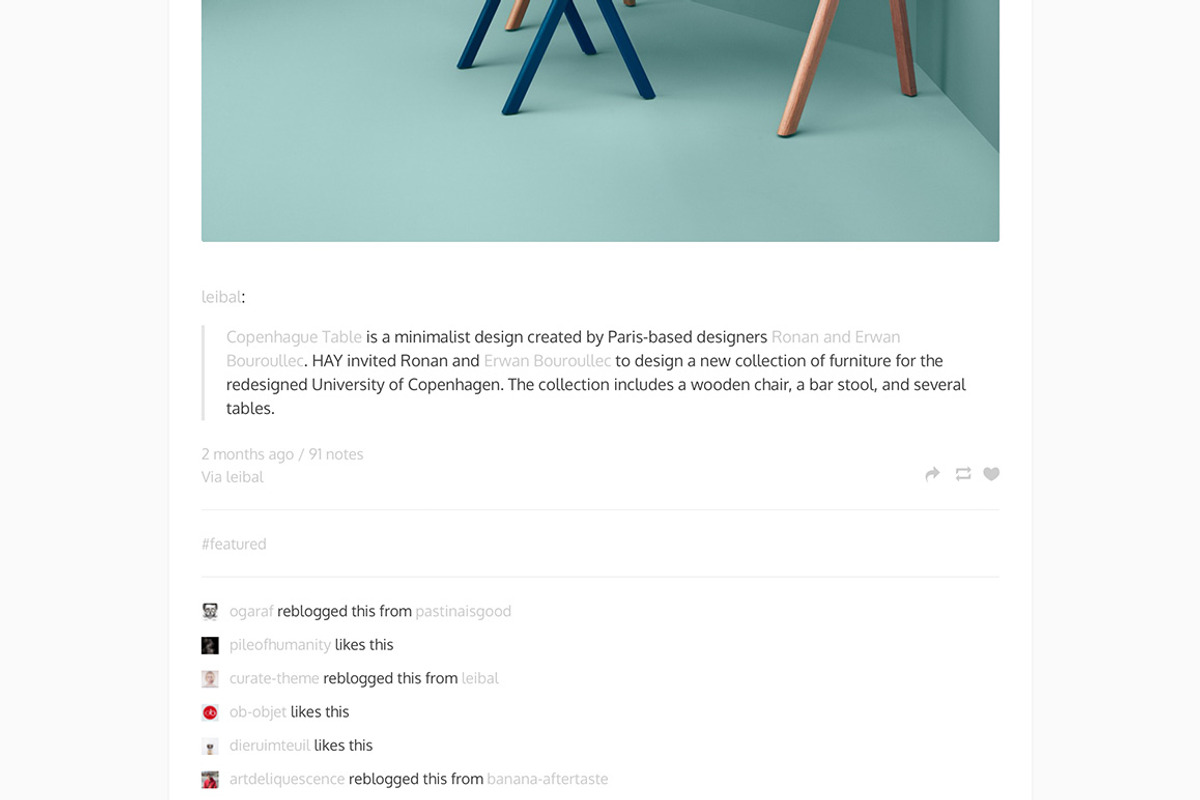 Curate Tumblr Theme, a Websites & App Template by Themelantic (Photo 5 of 5)