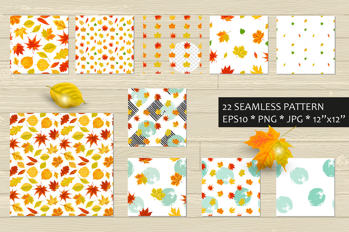 Autumn leaves vector collection, a Seasonal Illustration by VaraNa Art (Photo 14 of 15)