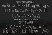 Bright Brother, a Sans Serif Font by FreshTypeINK (Thumbnail 5 of 8)