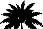 Palm Tree SVG Bundle, an Illustration by Creativeshirt (Thumbnail 4 of 7)