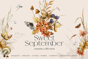 Sweet September - autumn collection, an Illustration by AleksaArt
