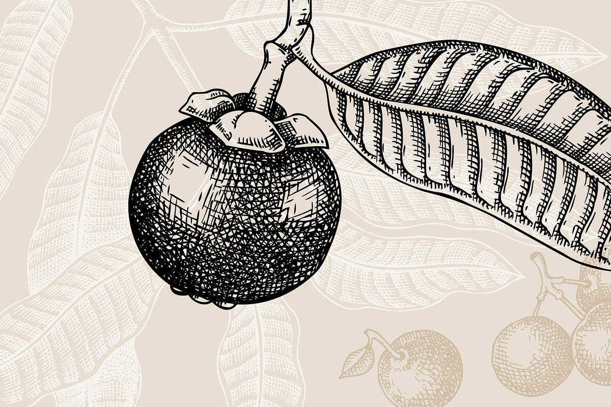Superfoods: Fruit & Nuts Vector Set, a Food Illustration by Yevheniia (Photo 10 of 11)