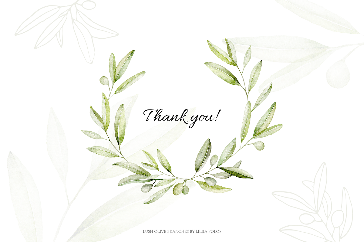 Olives – Watercolor & Line Art, a Decorative Illustration by Liliia Polos Illustration (Photo 12 of 12)