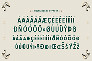 Palmera - Vintage Font, a Sans Serif Font by Mine Type Lab (Thumbnail 7 of 10)
