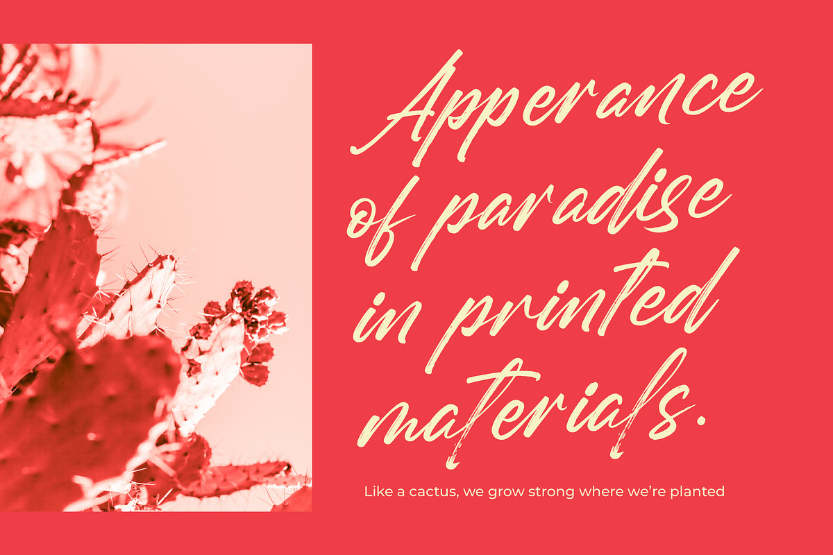 Gently Milarea Modern Brush Font, a Script Font by Letterena Studios Script (Photo 6 of 20)