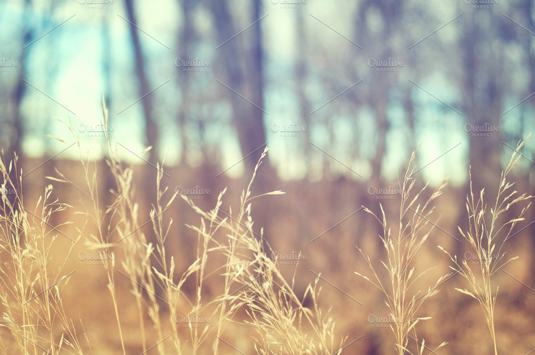 Steady, a Nature Photo by Solefield