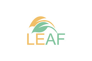 leaf logo design vector
