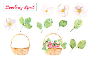 Watercolor Set Strawberry Clipart