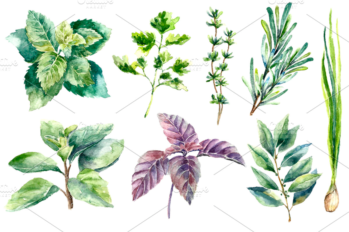 Herbs and Spices watercolor set, an Object Graphic by Vikeriya (Photo 3 of 5)