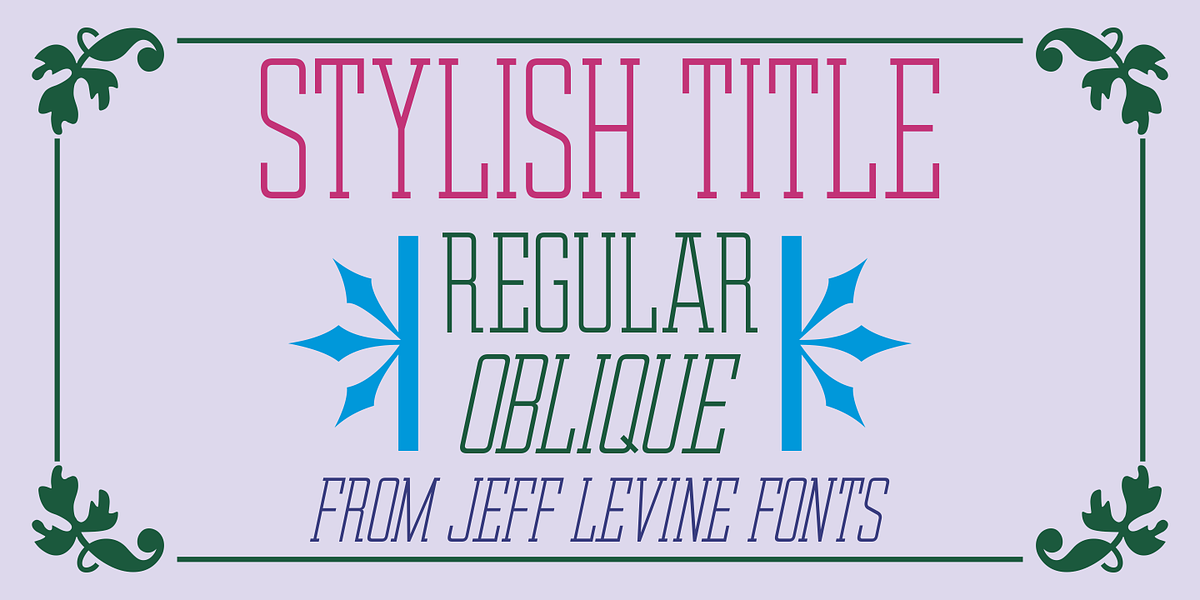 Stylish Title JNL, a Slab Serif Font by Jeff Levine Fonts (Photo 1 of 5)