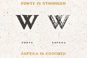 Serifa Typeface, a Serif Font by Type Box (Thumbnail 2 of 7)