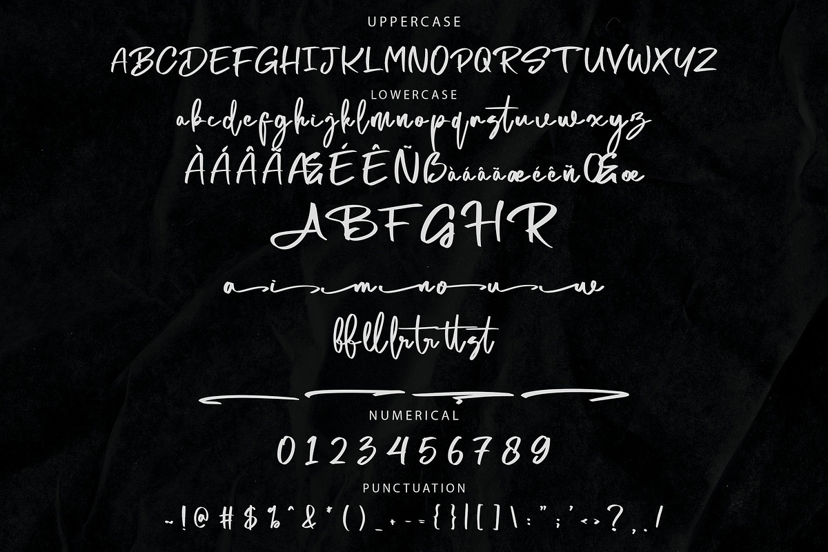 Nellatena Brush Script Font, a Script Font by NTC Graphic (Photo 7 of 8)