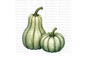 Sage Green Pumpkins, a Decorative Illustration by Bloom Craft Creations (Thumbnail 1 of 12)