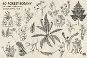 Forest Botany Line Art + Procreate, a Brush Add-On by Skliarova (Thumbnail 4 of 6)