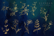 Elysian Floral Collection, an Illustration by Eclectic Anthology (Thumbnail 14 of 15)