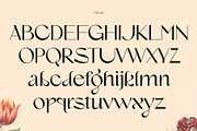 Lilyane - A Lovely Font, a Serif Font by StudioinBry (Thumbnail 10 of 12)