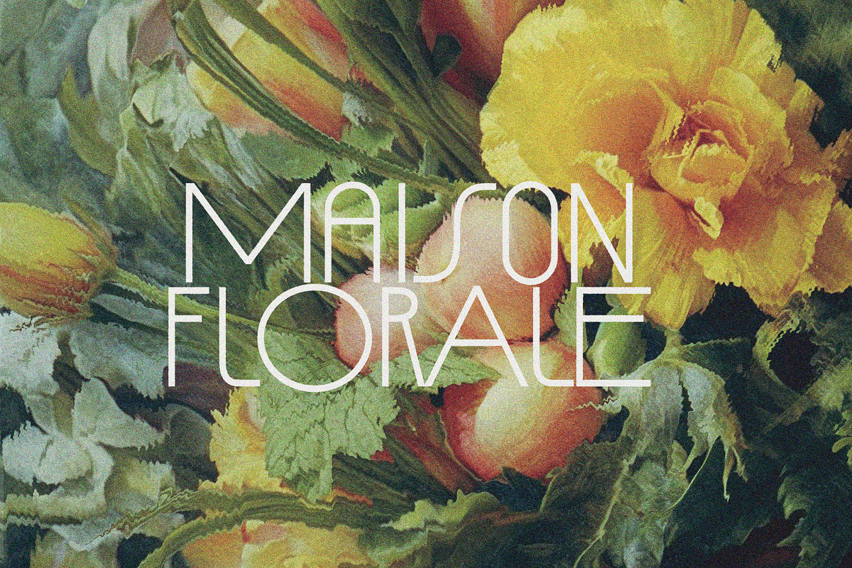 AUGUST DecoSans Multi-weight Family, a Sans Serif Font by Nicky Laatz (Photo 18 of 30)
