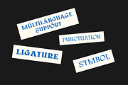Corbyn Serif, a Serif Font by Emyself Design (Thumbnail 7 of 12)