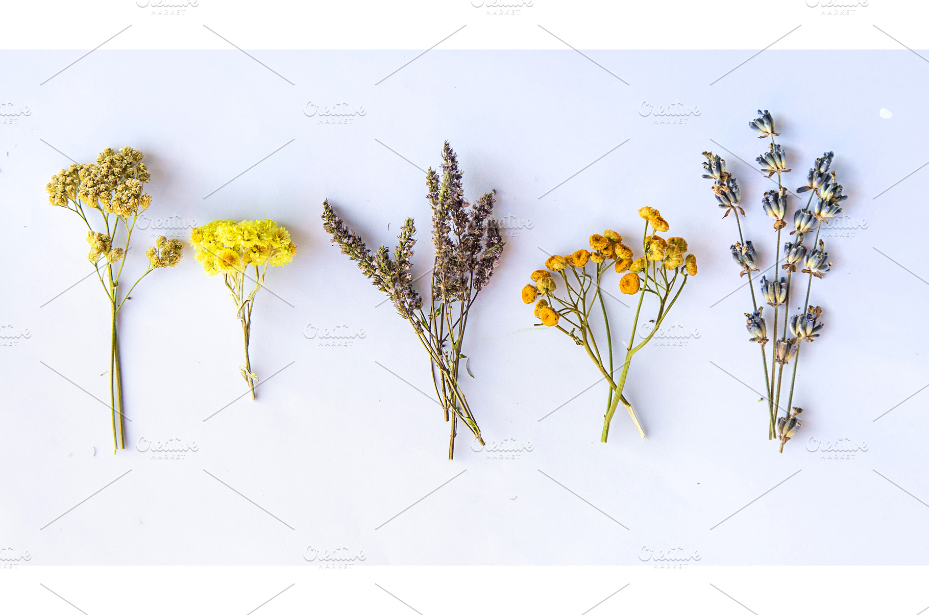 Medicinal herbal extract in a bottle, a Nature Photo by yanadjana