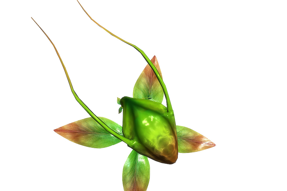 3DFoin - Elongata, a Characters & Person 3D Model by 3DRT.com (Photo 12 of 17)