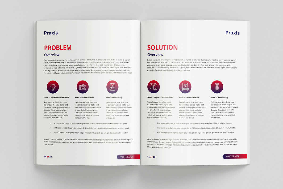 White Paper Template, a Brochure Template by azadcsstune (Photo 8 of 12)