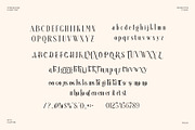 Reteons Elegant Ligature Serif Font, a Serif Font by Perfectype (Thumbnail 6 of 6)